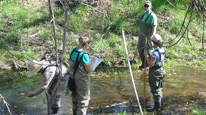 Four field researchers wearing protective overalls wade into a shallow creek site as they take measurements and collect water samples.
