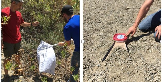 Year 1 field sampling wraps up for developing intermittent stream bioindicators