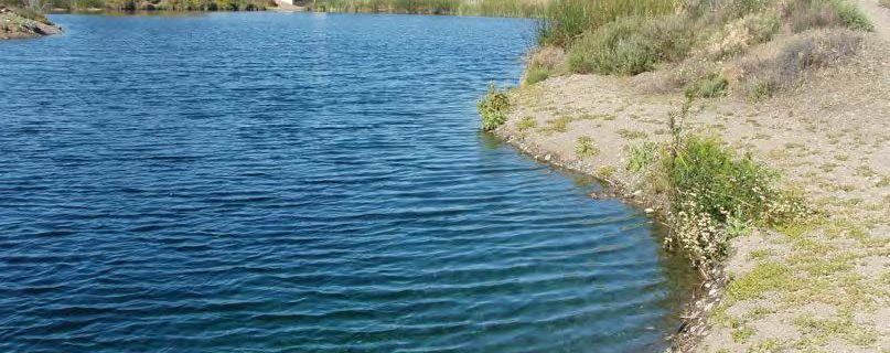 Recycled water is sometimes placed into holding ponds, such as this one in Santa Clara County in Northern California, to allow the water to gradually infiltrate into groundwater. California’s policy on how to monitor CECs in recycled water was recently revisited by an expert advisory panel facilitated by SCCWRP.
