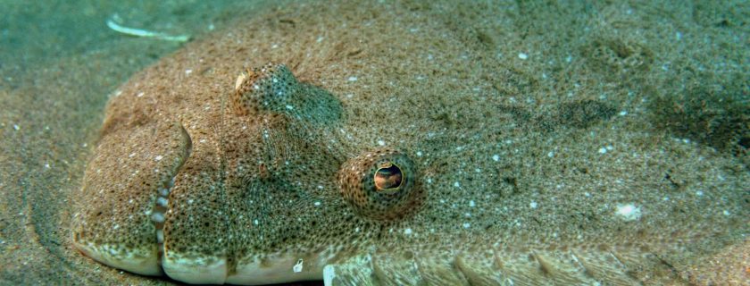 Framework approved to assess sediment’s impacts on humans