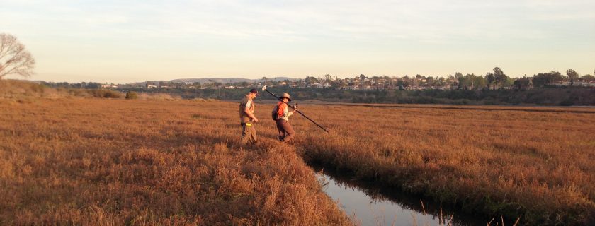Report outlines strategy for protecting coastal wetlands