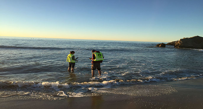 Two members of a SCCWRP field crew wearing yellow safety vests wade ankle-deep into the water at Leo Carillo State Beach to collect water samples.