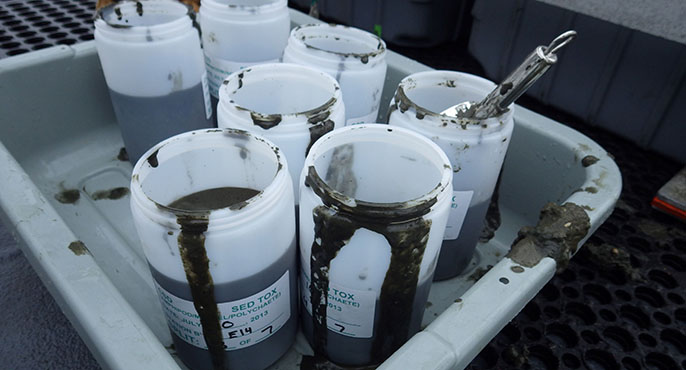 A small amount of sediment that has just been retrieved from the seafloor is placed into seven small plastic containers with labels.