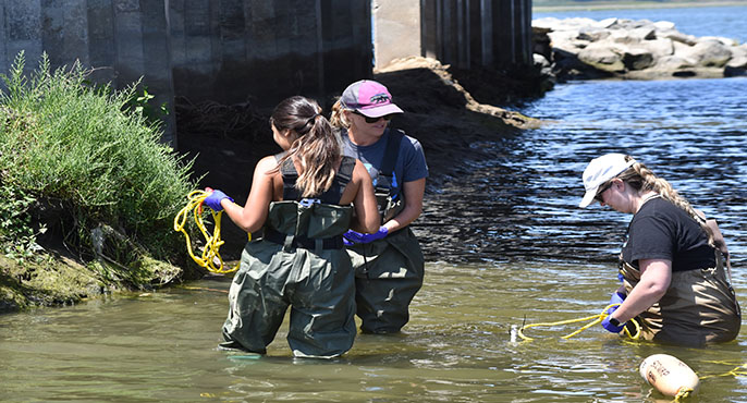 Three field researchers standing waist-deep in Newport Bay near a bridge use plastic buoys attached to yellow ropes to aid in collecting water samples.