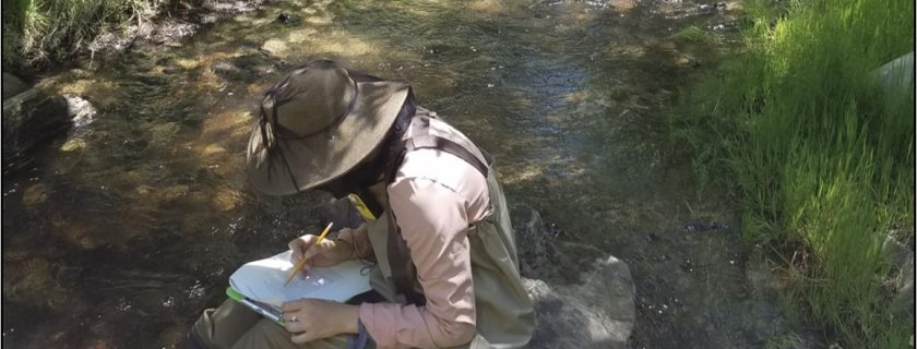 A field crew collects data on the health of a stream in the Big Bear Lake watershed. SCCWRP and its partners have begun developing a suite of protective assessment tools to help managers identify the specific stressors that present significant ecological risks to streams in California that are in good health.
