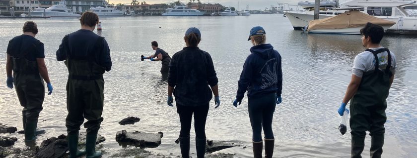 SCCWRP’s Samuel Lillywhite, center, demonstrates how to collect shellfish in Newport Harbor in Orange County during a training with Bight ‘23 sampling partners. The Southern California Bight Regional Monitoring Program has launched an investigation to comprehensively track the accumulation of multiple types of contaminants in shellfish.