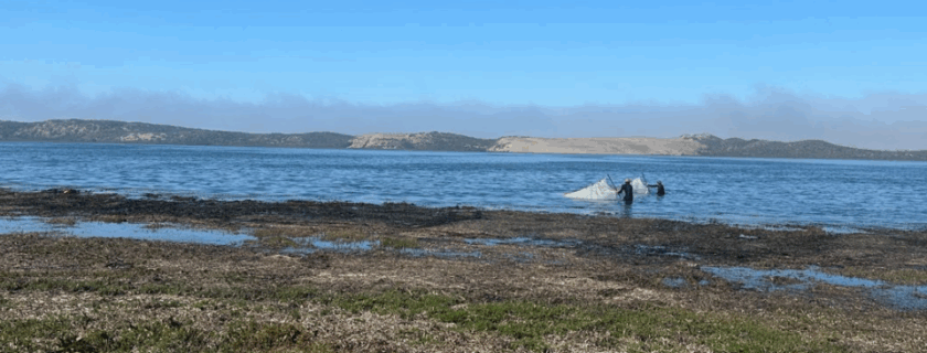 The new California Estuarine Marine Protected Areas (EMPA) Monitoring Program has demonstrated how a diverse network of monitoring partners can collaboratively implement coordinated, statewide wetland monitoring, including at Morro Bay Estuary, above, one of 16 coastal estuary sites to be monitored during the program’s initial implementation phase. (Courtesy of Central Coast Wetlands Group, Moss Landing Marine Labs)