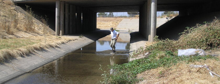 SCCWRP and its partners have successfully validated a new statewide method for detecting and measuring up to 140 pesticides simultaneously in aquatic environments – a streamlined method that will enable managers to efficiently screen water bodies like Morrison Creek in the Central Valley, above, for pesticides. California’s Environmental Laboratory Accreditation Program (ELAP) is considering establishing a pathway for environmental laboratories to be accredited for the method.