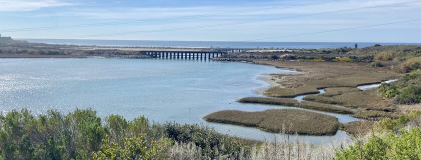 The newly approved Southern California Coastal Wetland Regional Monitoring Program – unanimously endorsed in December by 18 local, State and federal management agencies – will comprehensively assess the health of coastal wetlands across Southern California, including Batiquitos Lagoon in Carlsbad, pictured.