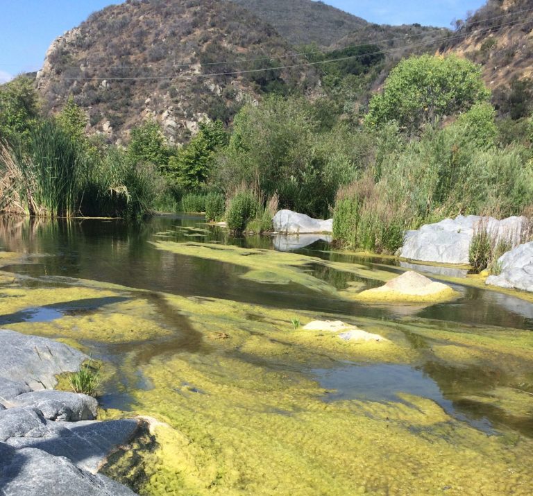 Santa Margarita River Southern California Coastal Water Research Project