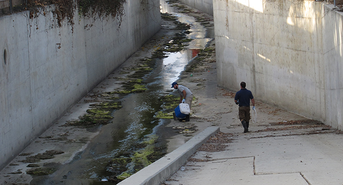 Two field researchers stand in a concrete-lined channel to collect samples and place them into a blue cooler. 