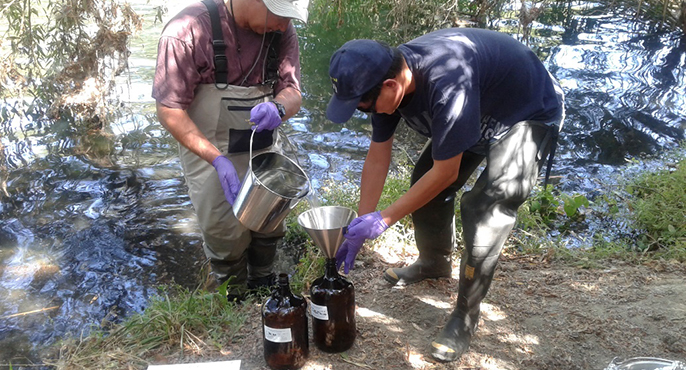 Two field researchers use a funnel to transfer a bucket of water collected from a San Gabriel River, which is behind them, into a pair of sample collection jugs.