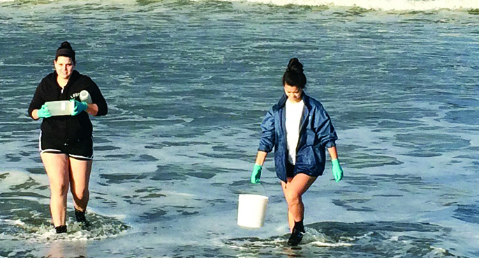 A two-member field crew wades into shallow water at a beach to collects samples using buckets. 