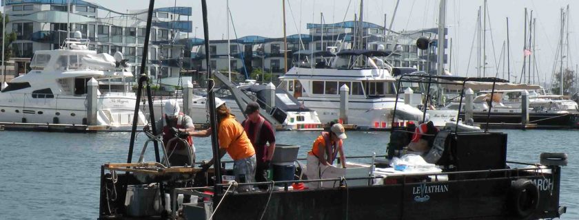 Marina del Rey stressor identification rules out possible causes of degraded sediment quality