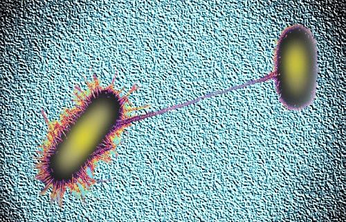 POTWs embark on study documenting antibiotic-resistant bacteria, genes in effluent