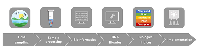 A flow chart depicts the major steps involved with DNA barcoding, with an accompanying graphic in each step. From left to right: 1-Field sampling, 2-sample processing, 3-Bioinformatics, 4-DNA libraries, 5-Biological Indices, and 6-Implementation.