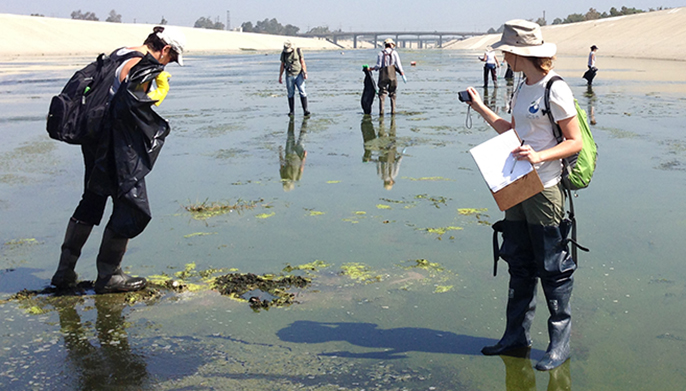 Standing in the shallow water of the channelized Los Angeles river, multiple field workers wearing backpacks and holding clipboards work to document trash particles in the riverbed.