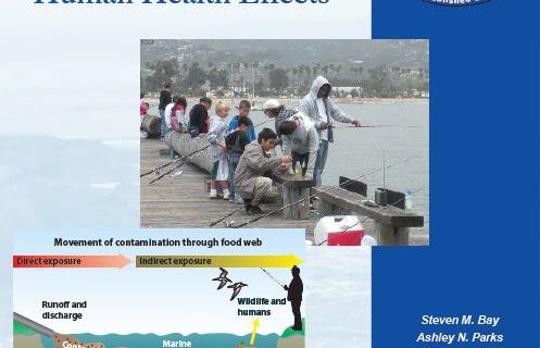 SCCWRP and its partners have developed a sediment quality framework that establishes a standardized technical definition of what it means to be in compliance with California’s Sediment Quality Objective (SQO) for the protection of human health in enclosed bays and estuaries. The draft framework was published as a SCCWRP technical report, above.