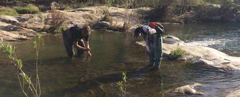 Researchers are exploring how the structure and composition of bacterial communities in California streams, including the Santa Margarita River, above, could be used to provide more holistic insights into a stream’s overall ecological health. Stream managers already collect bacteria as part of their routine algae sampling programs.