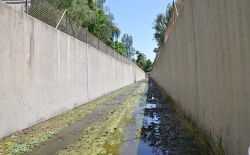 Caballero Creek, a channelized, algae-filled stream in the Los Angeles watershed, exemplifies severe habitat alteration and nutrient enrichment, which are two of the main factors believed to be responsible for the biological degradation of 75% of Southern California’s 4,300 miles of perennial streams. A SCCWRP-facilitated monitoring study from 2009 to 2013 indicated that the biological condition of the streams showed no signs of improvement over the five-year period.