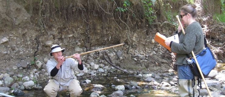 Streams that experience dramatic shifts in their hydrologic flow patterns are prone to severe erosion, such as this creek in southern Orange County where the water table has dropped by several meters. Erosion exposes roots that become vulnerable to perishing, and also is associated with changing water chemistry that further impacts stream health. SCCWRP is working to understand how to better manage flow patterns to protect in-stream biological communities.