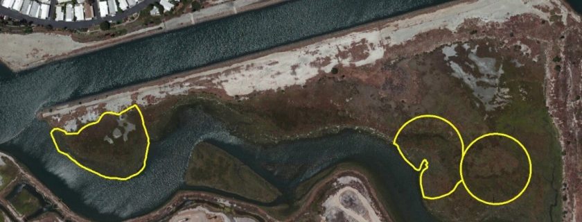 The Los Cerritos Wetlands complex near the mouth of the San Gabriel River is an example of a wetlands area where researchers are interested in conducting condition assessments at specific sites. The sites of interest, identified in this aerial photo with yellow lines, are in the Steamshovel Slough zone.