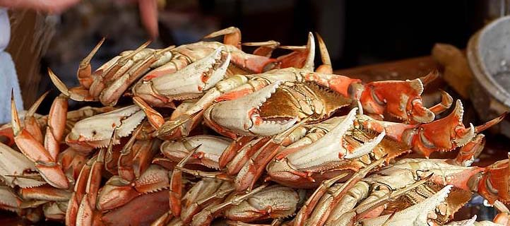 SCCWRP is part of a research team that will examine how ocean acidification is impacting Dungeness crab in the Pacific Northwest. This commercially important species relies on minerals in seawater to form its protective outer shell; the supply of these minerals is decreasing as a result of ocean acidification.