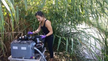 SCCWRP’s Syd Kotar monitors water quality inside a mobile exposure unit on the banks of the Los Angeles River just downstream of the L.A.-Glendale Water Reclamation Plant. The units house fish that are exposed to flowing river water in real time, enabling researchers to evaluate the fish afterward for potential biological impacts from exposure to chemical contaminants in the water.