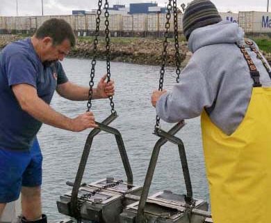 A field crew retrieves sediment samples collected from Consolidated Slip in Los Angeles Harbor during a SCCWRP-led study examining how to optimize the design of toxicity identification evaluation (TIE) studies to improve confidence in the results.