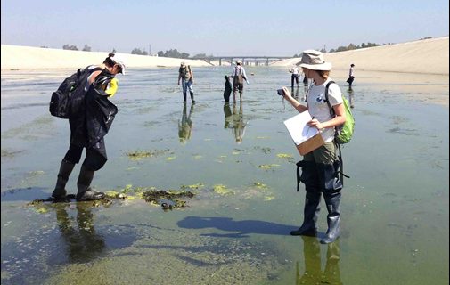 A field crew counts and classifies trash particles in the Los Angeles River as part of the Southern California Bight 2013 Regional Monitoring Program. SCCWRP and its partners have kicked off an effort to bring statewide standardization to how trash is tracked in watersheds.