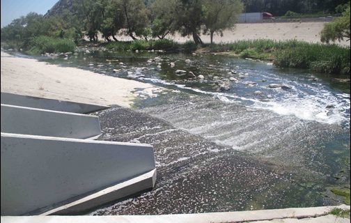 Treated wastewater effluent is discharged into the Los Angeles River from the nearby L.A.-Glendale Water Reclamation Plant. Water-quality managers for the effluent-dominated river have initiated a study to explore the potential ecological and recreational effects of diverting effluent and runoff from the river for water recycling purposes.