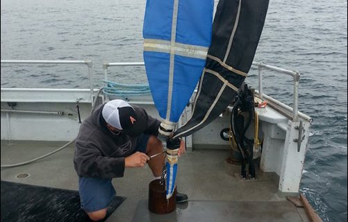 The eggs and larvae of fish are extracted from a net that was towed through Southern California coastal waters, part of an effort to determine whether DNA-based methods can be used to identify the species present. The California Water Quality Monitoring Council has formed a statewide workgroup to be led by SCCWRP that will examine how to bring greater consistency and standardization to DNA-based analysis methods for routine aquatic monitoring applications.