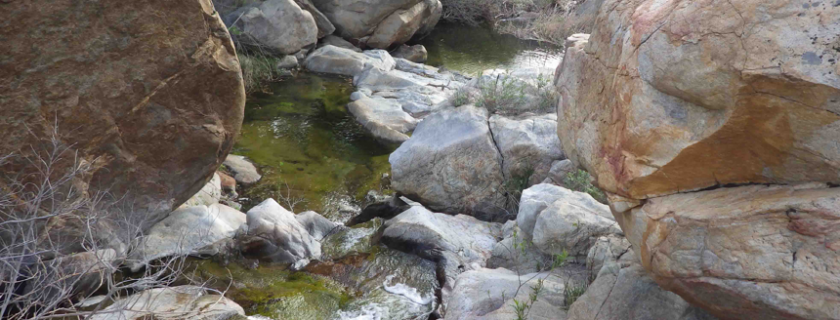 Three key stream condition indicators integrated via index