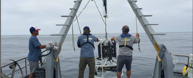 Modeling shows nutrient discharges can influence coastal acidification, hypoxia