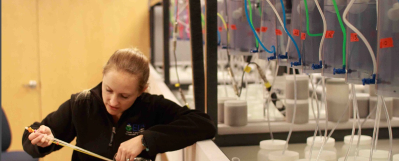 Dynamic exposure lab built to replicate fluctuating environmental conditions