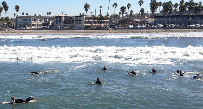 Surfers laying on their surfboards paddle away from the shoreline at Ocean Beach in San Diego, with homes and businesses visible in the background along the shoreline.