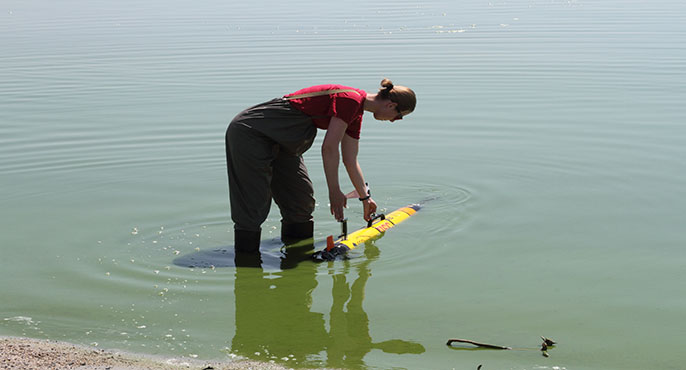 A field researcher wades into shallow water at Lake Elsinore to deploy a yellow-colored underwater autonomous vehicle that will monitor cyanobacterial blooms in the lake. 