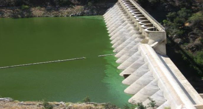 Water that is being held back by a dam that spans Lake Hodges in San Diego County is tainted a murky green color as a result of a harmful algal bloom. 