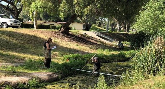 A field researcher wades waist-deep into Fullerton Creek to survey the amount and types of trash particles along the creek, while a second field researcher standing nearby on the banks takes notes on a clipboard.