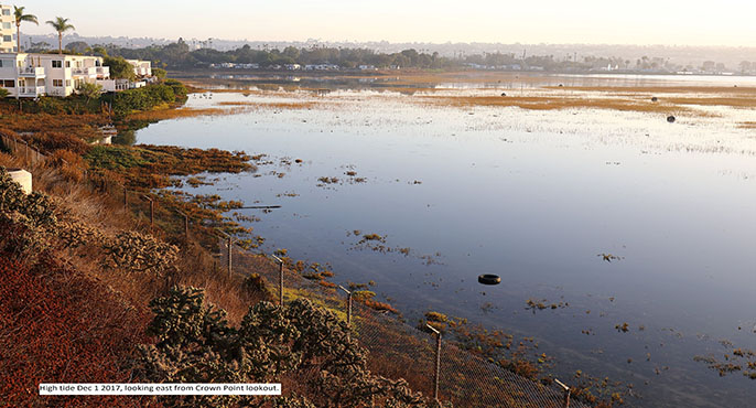 An unusually high tide at Kendall-Frost Marsh in San Diego approaches the level at which homes have been constructed.