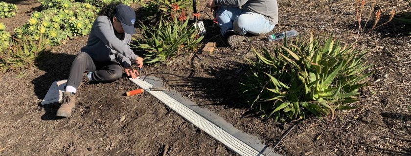 SCCWRP’s Adriana Le Compte-Santiago, left, and Jerod Gray install a trench drain and above-ground sensors in a residential community where the County of San Diego replaced turf with drought-tolerant landscaping. A three-year study at this site found that replacing spray irrigation with drip irrigation and drought-tolerant plants can reduce or eliminate the volumes of irrigation and rain water running off these surfaces.